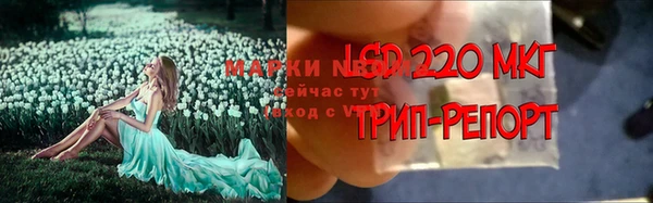 экстази Абаза