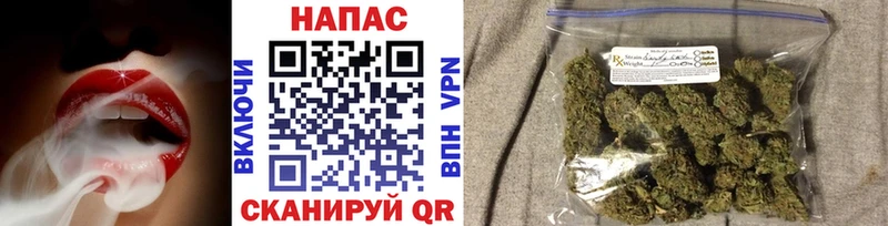 Каннабис ГИДРОПОН Фатеж